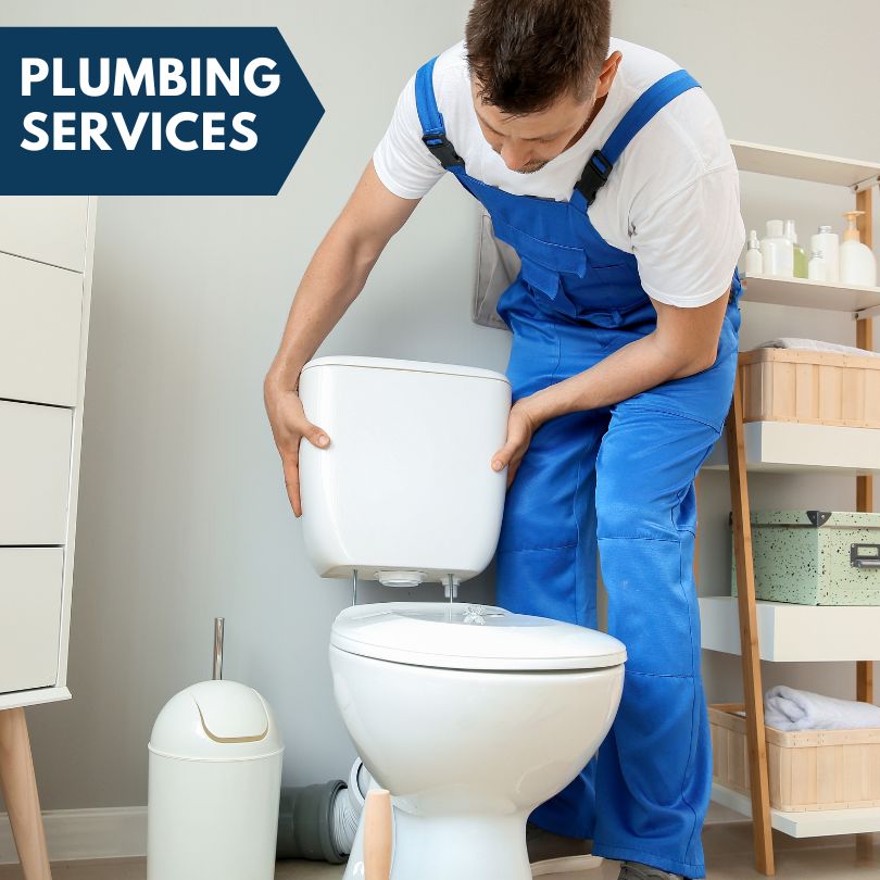 Plumbing Company in Montrose, IL
